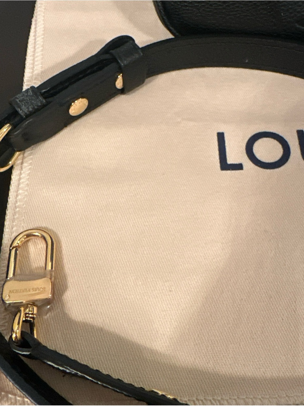 Louis Vuitton Black Empriente Boulonge PM Handbag - Picture 11 of 13
